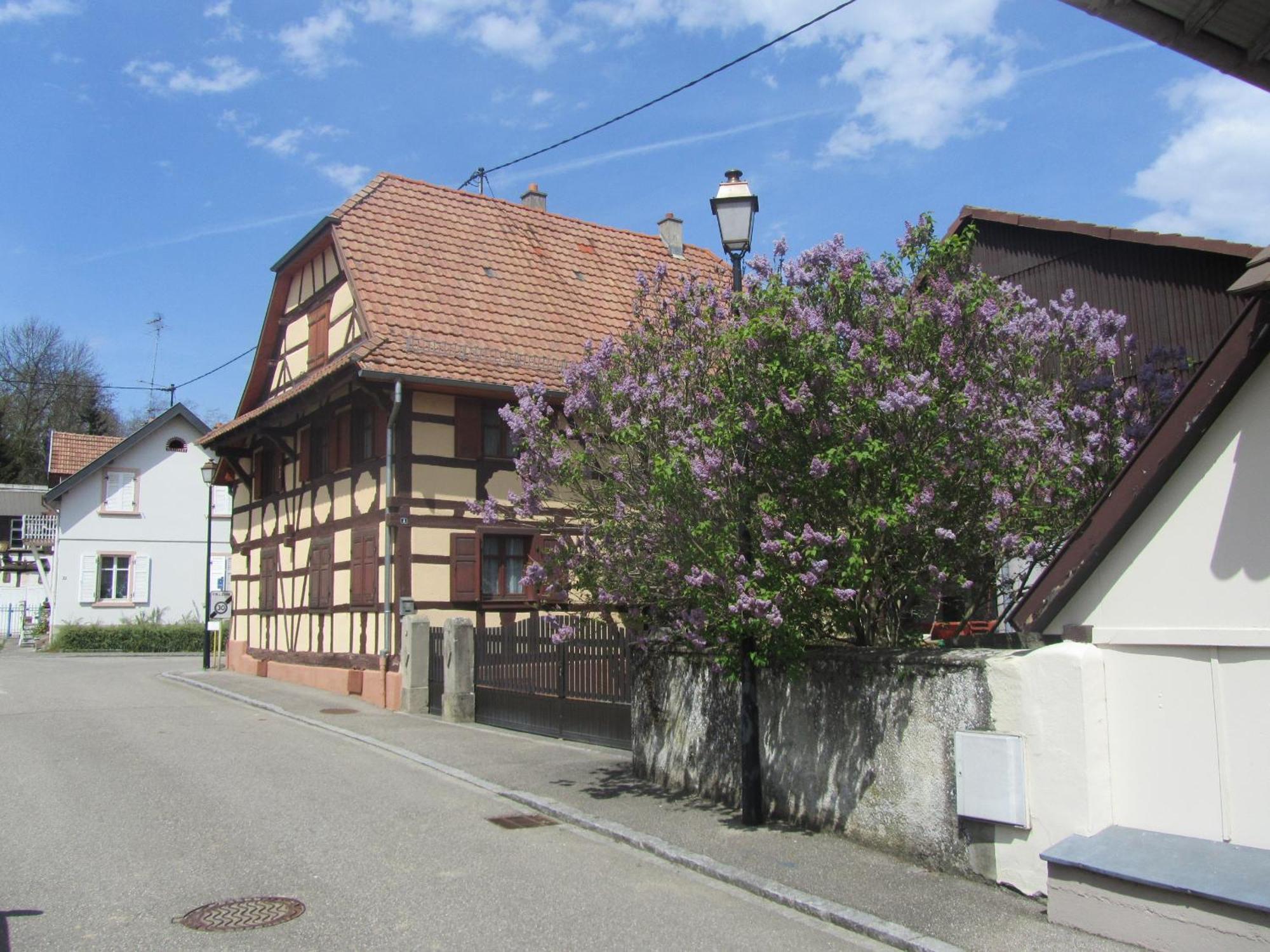 Hôtel Restaurant Au Lion Rouge Bartenheim Exterior foto